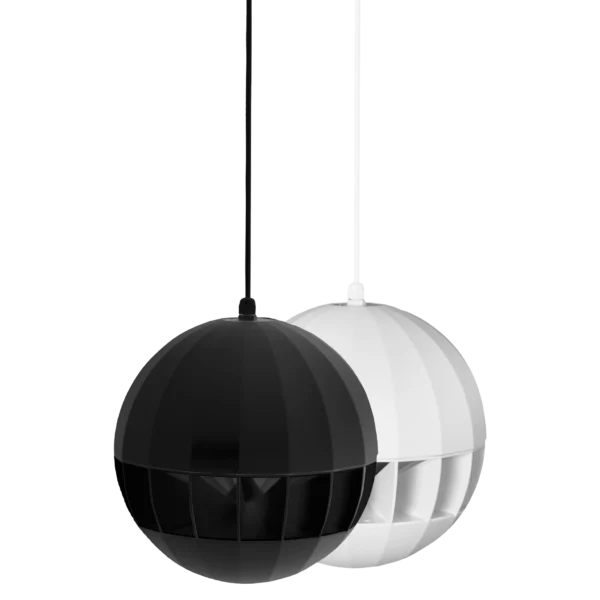 ASP20